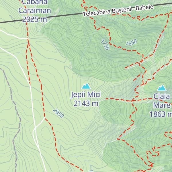 Map of Jepii Mici