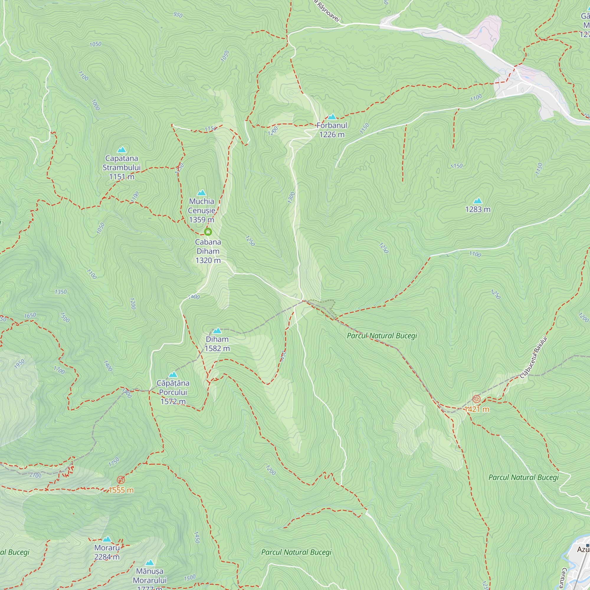 Cabana Saua Diham map