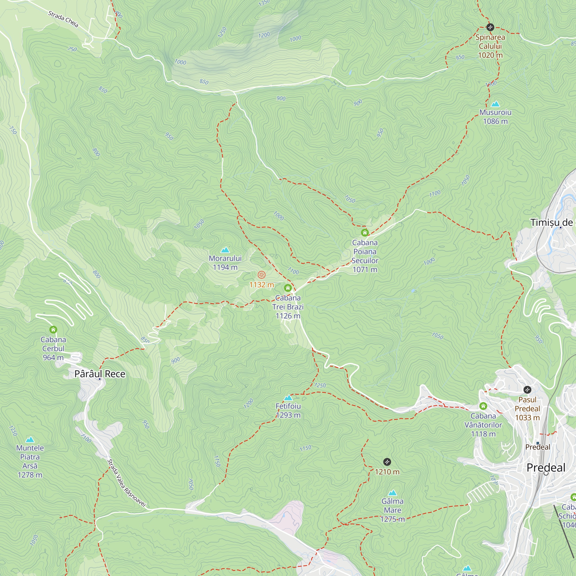 Cabana Trei Brazi map