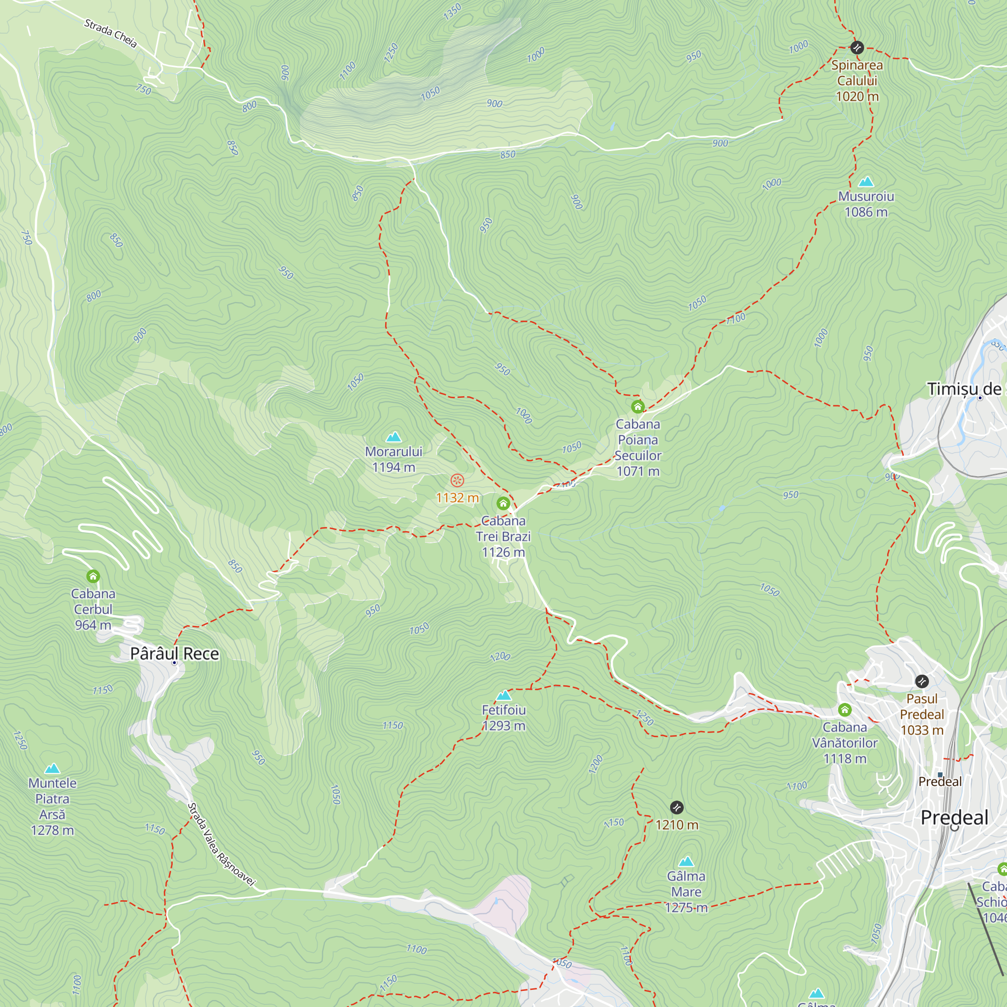 Cabana Trei Brazi map