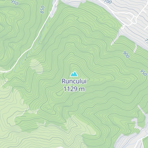 Map of Runcului