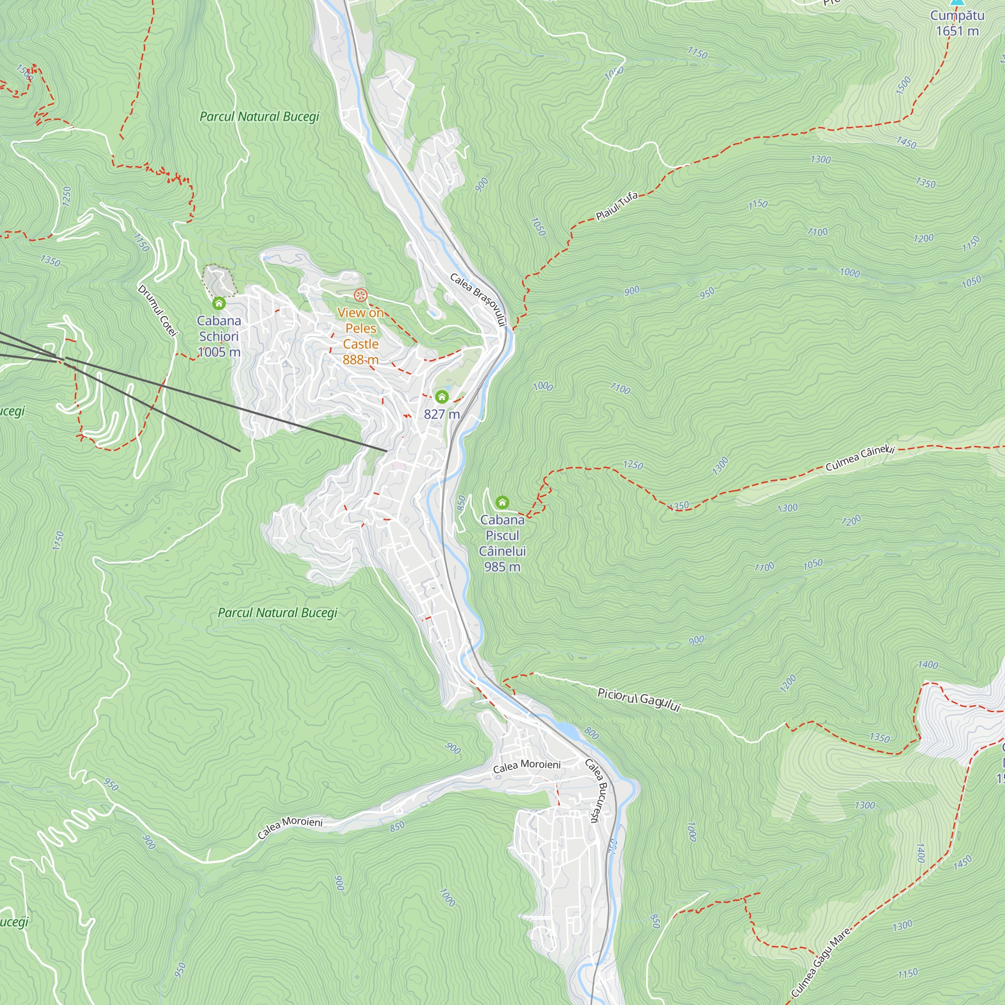 Cabana Piscul Câinelui map