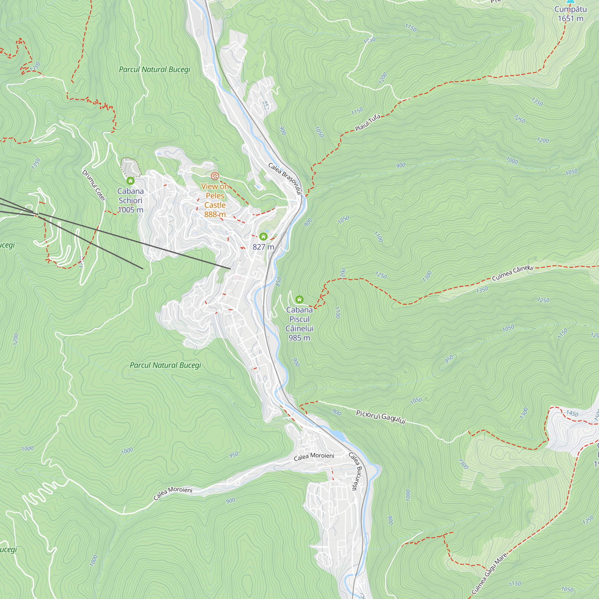 Cabana Piscul Câinelui map