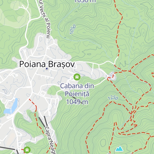 Map of Cabana din Poieniță