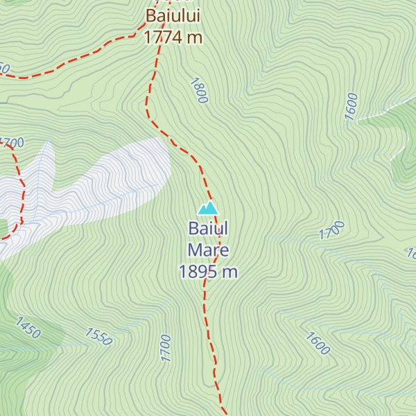 Map of Baiul Mare