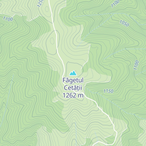 Map of Făgetul Cetății