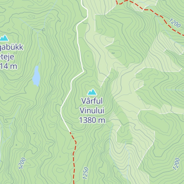 Map of Vârful Vinului