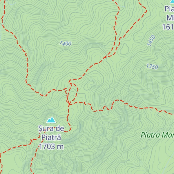 Map of Pușcaș