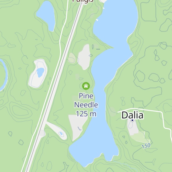 Map of Pine Needle