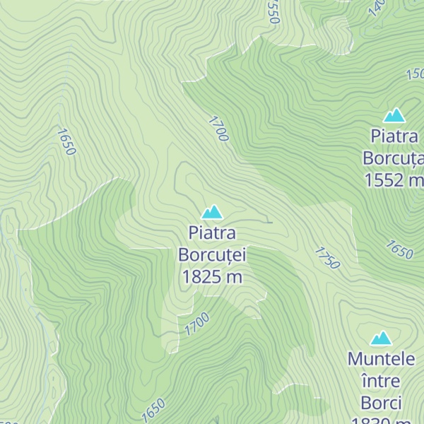 Map of Piatra Borcuței