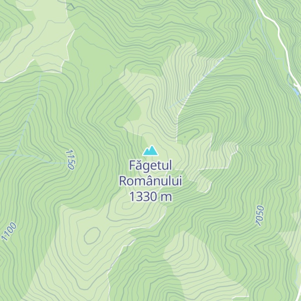 Map of Făgetul Românului