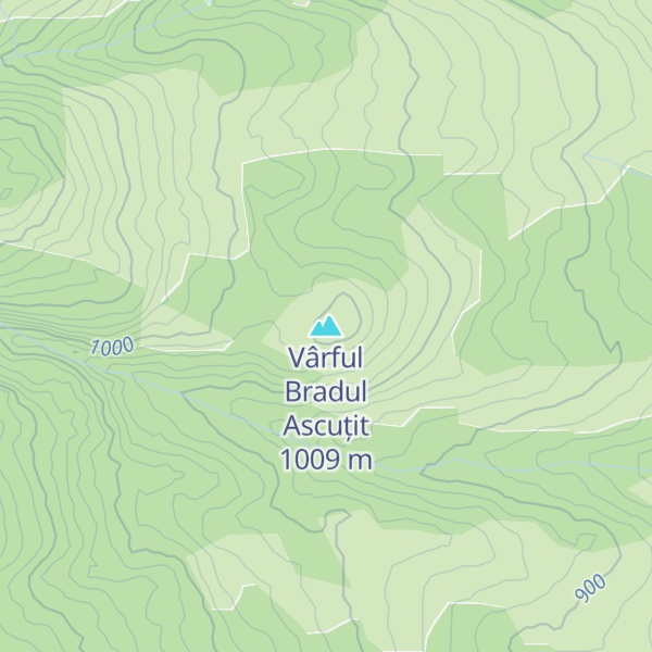 Map of Vârful Bradul Ascuțit