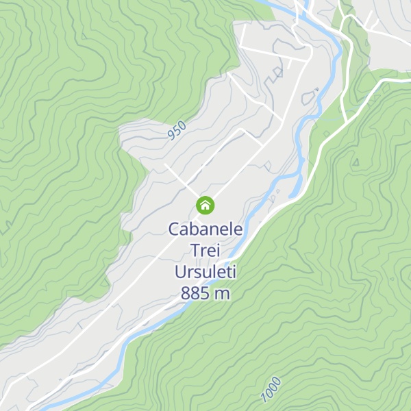 Map of Cabanele Trei Ursuleti