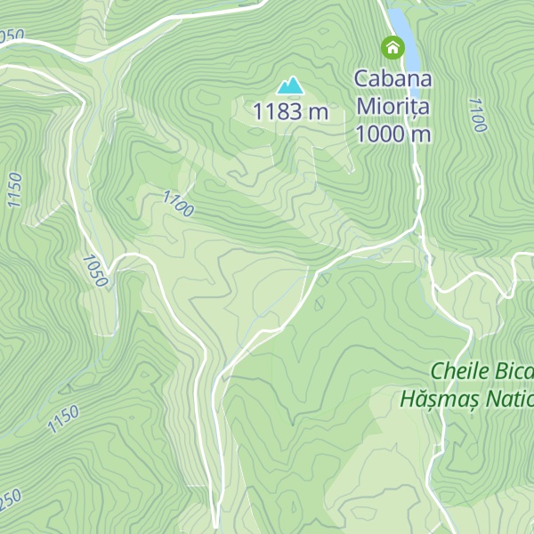 Map of Cabana Dorina