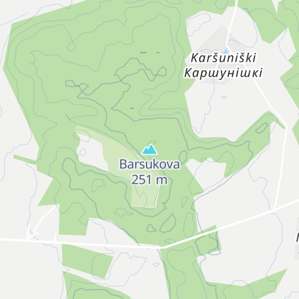 Map of Barsukova