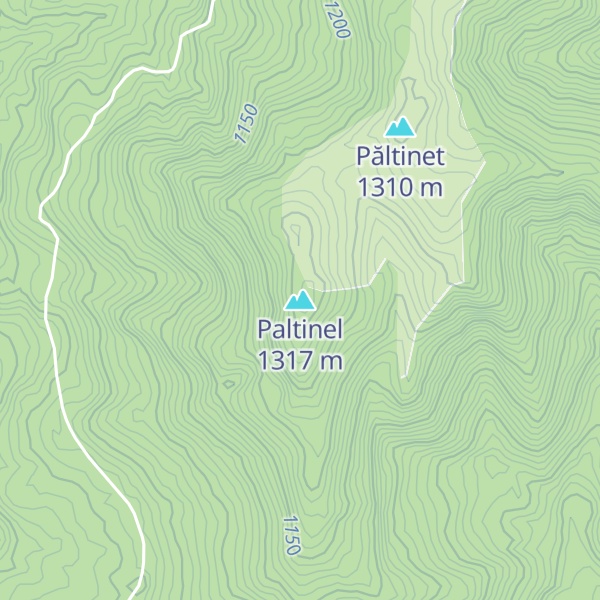 Map of Paltinel