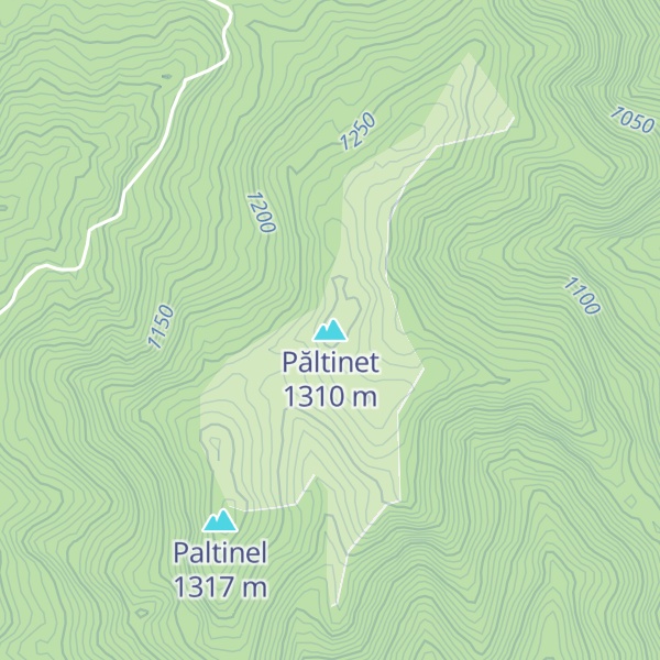 Map of Păltinet