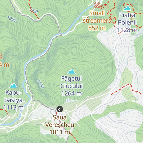 Map of Făgetul Ciucului