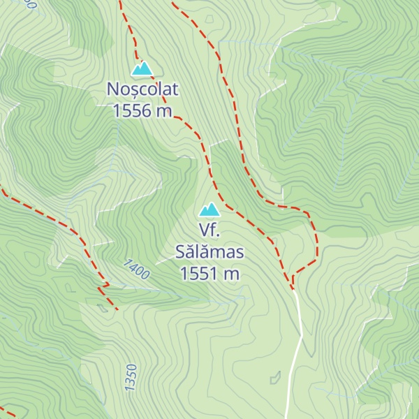 Map of Vf. Sălămas