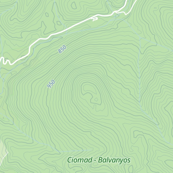 Map of Vf. Cărpinișul Mare