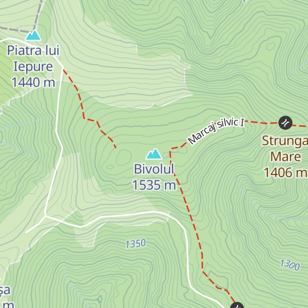 Map of Bivolul