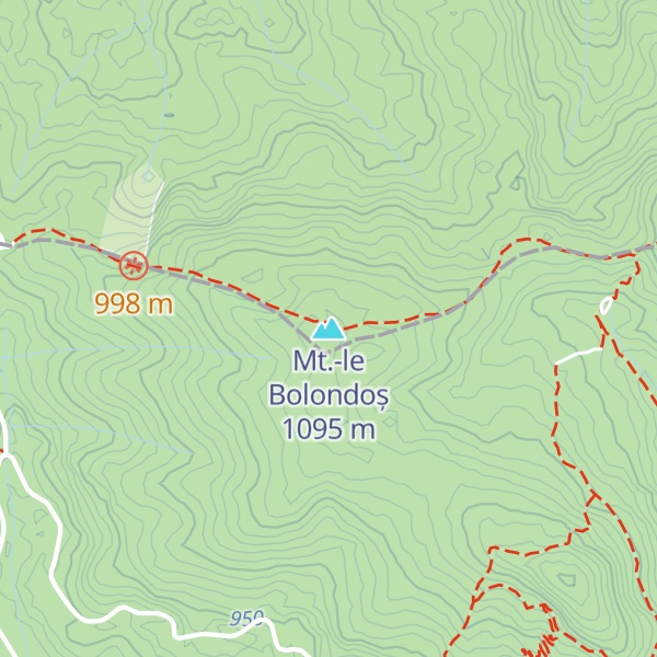 Map of Mt.-le Bolondoș