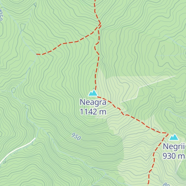 Map of Neagra
