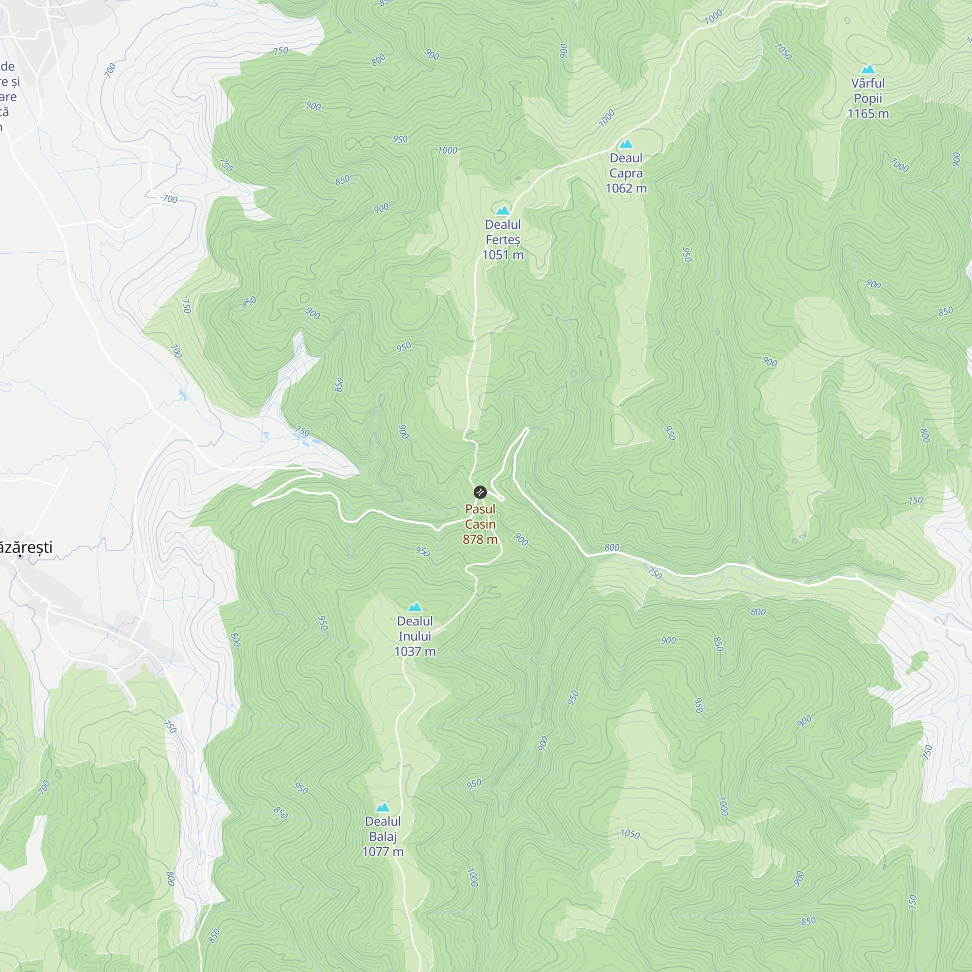 Cabana Nyergestető map