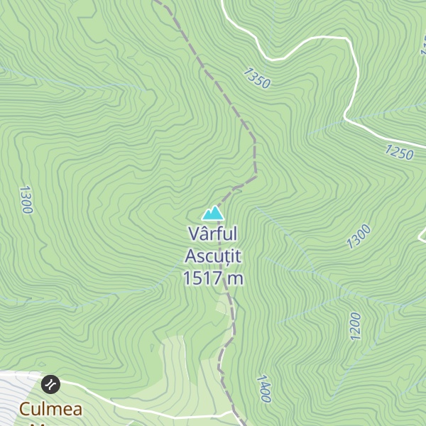 Map of Vârful Ascuțit