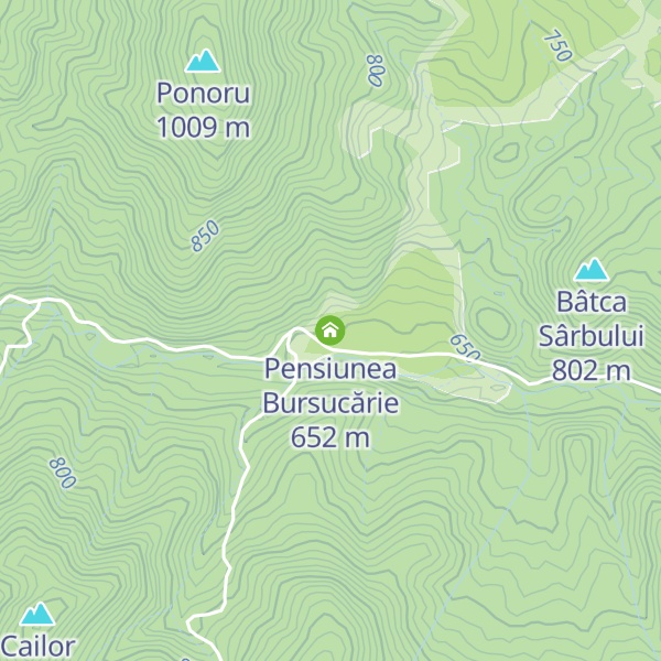 Map of Pensiunea Bursucărie