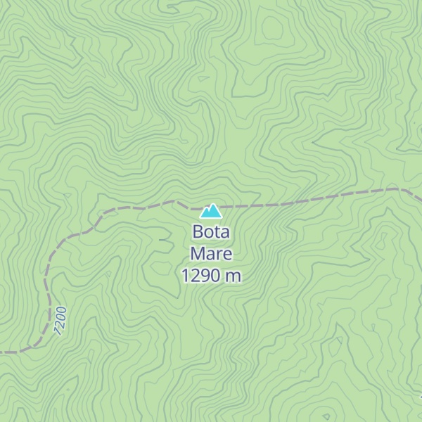 Map of Bota Mare