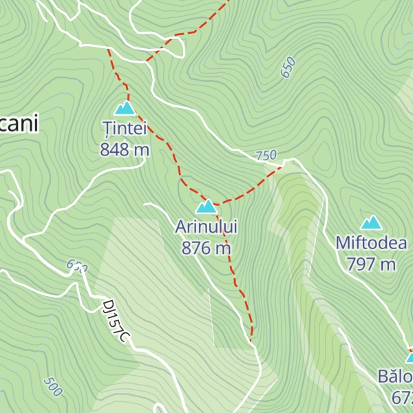 Map of Arinului
