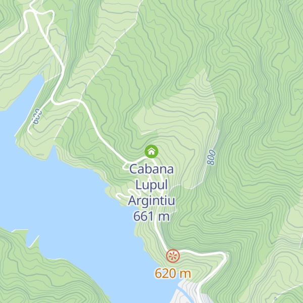 Map of Cabana Lupul Argintiu