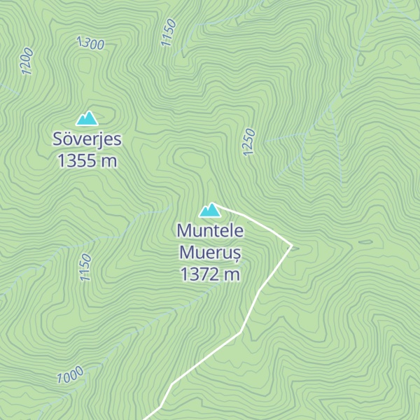 Map of Muntele Mueruș