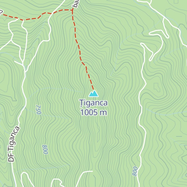 Map of Țiganca