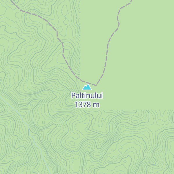 Map of Paltinului