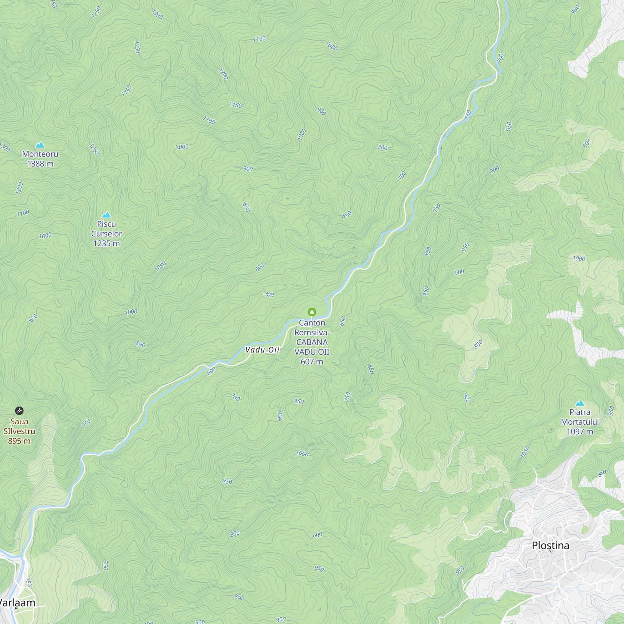 Canton Romsilva- CABANA VADU OII map
