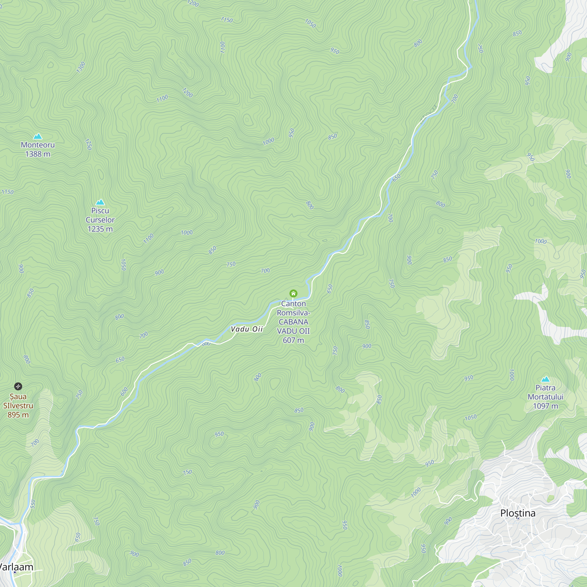 Canton Romsilva- CABANA VADU OII map