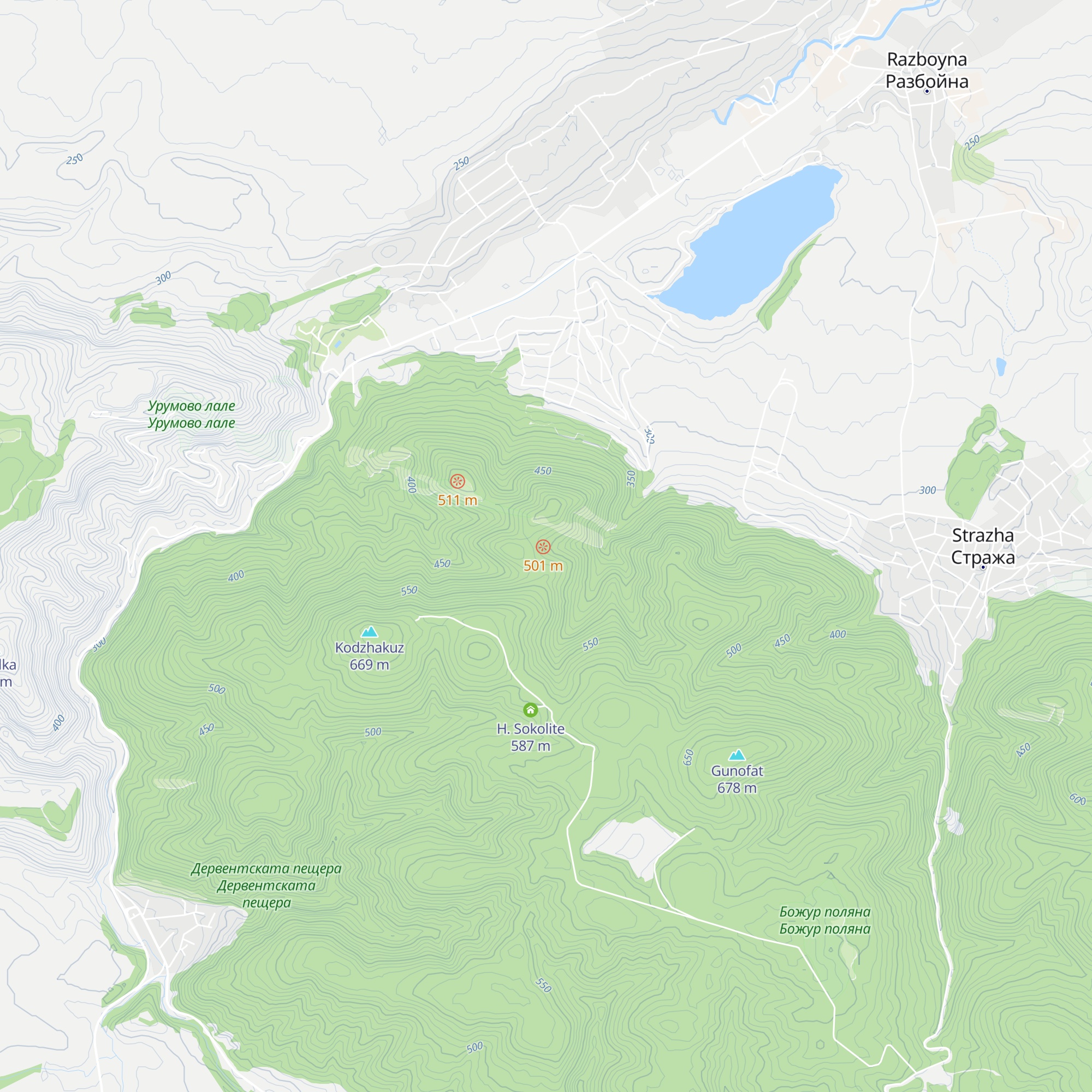 Deep forest map