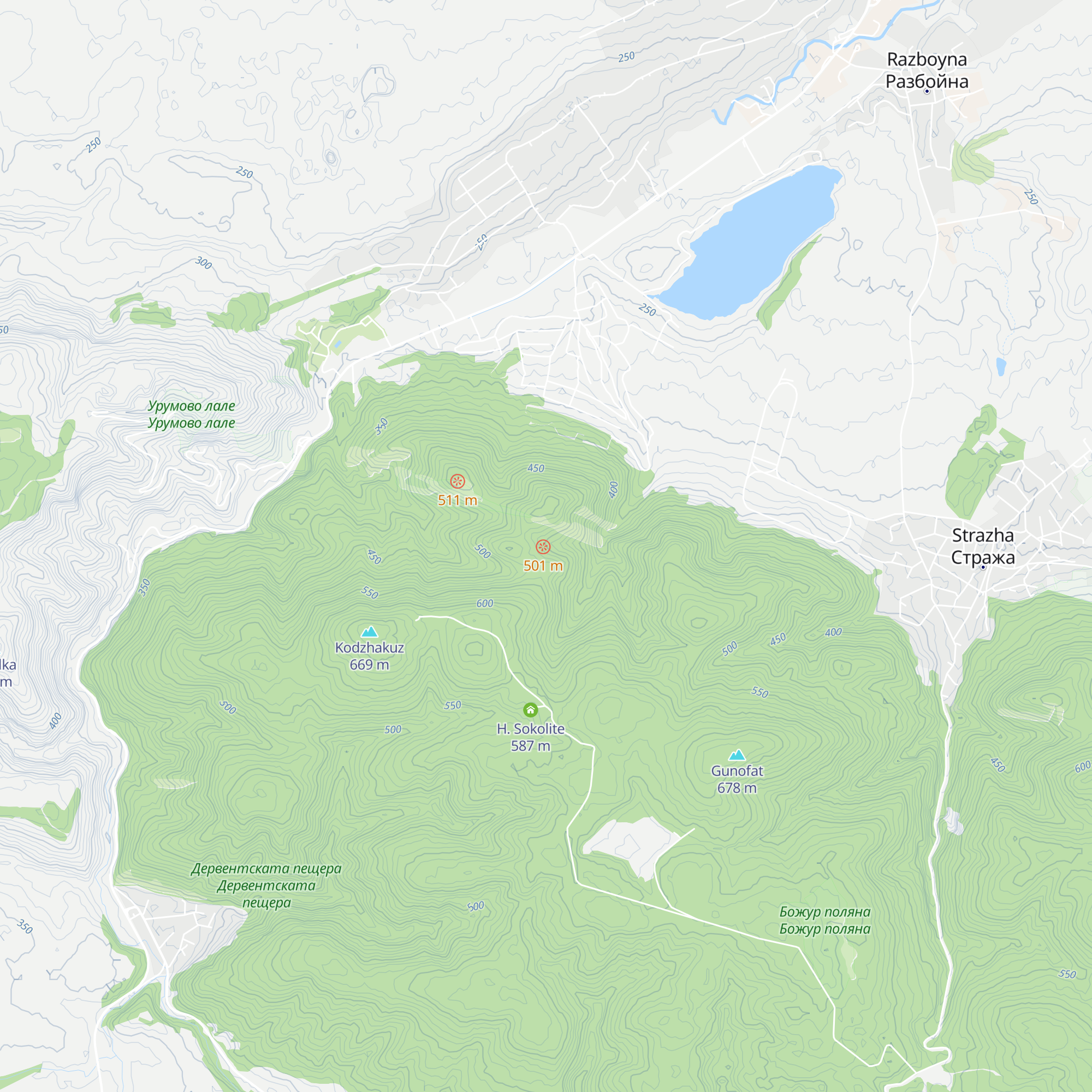Deep forest map