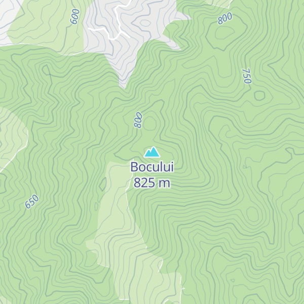 Map of Bocului
