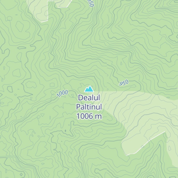 Map of Dealul Paltinul