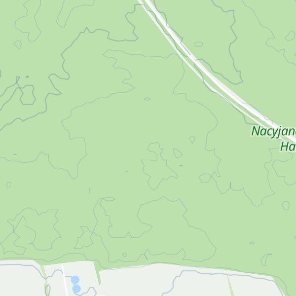 Map of Lisinaya