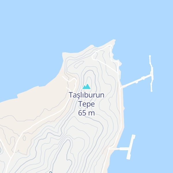 Map of Taşlıburun Tepe