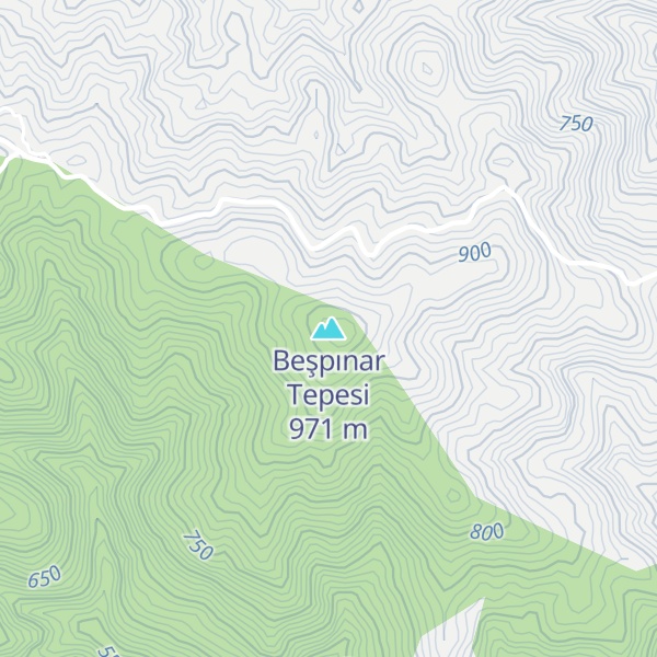 Map of Beşpınar Tepesi