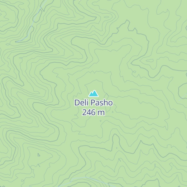 Map of Deli Pasho