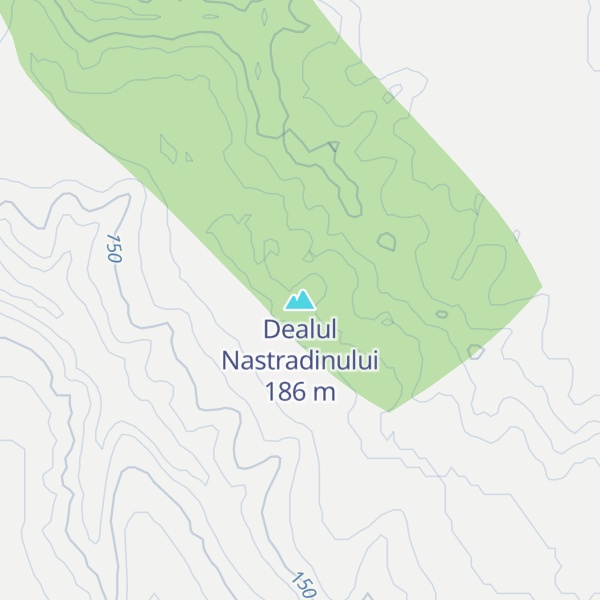 Map of Dealul Nastradinului