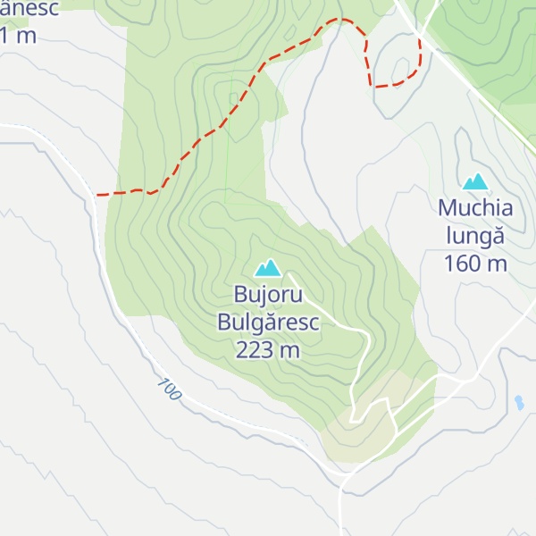 Map of Bujoru Bulgăresc