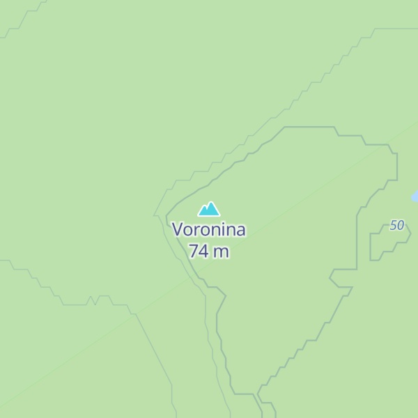 Map of Voronina