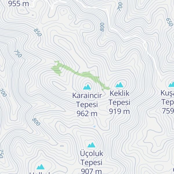 Map of Karaincir Tepesi